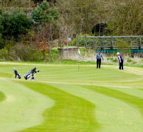 bridge side putting